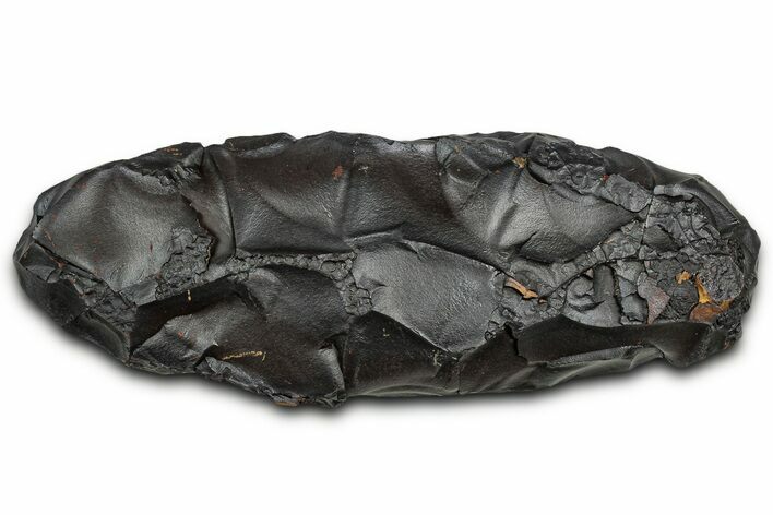 Dragon Scale Stone (Iron, Manganese, Siderite Nodule) #330296